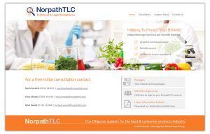 Norpath Web Layout